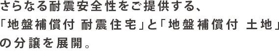 さらなる耐震安全性をご提供する、「地盤補償付き耐震住宅」と「地盤補償付き土地」の分譲を展開。