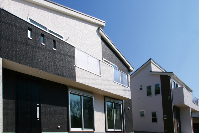 DELIS MACHIDA-NARUSE